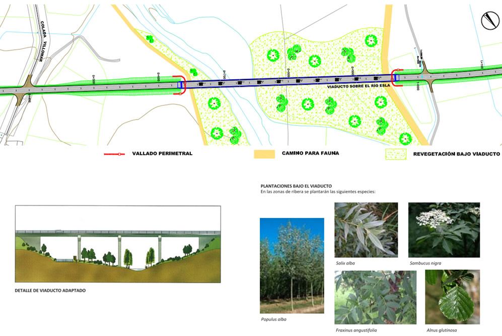 Medidas correctoras del nuevo puente sobre el río Esla, imagen 2